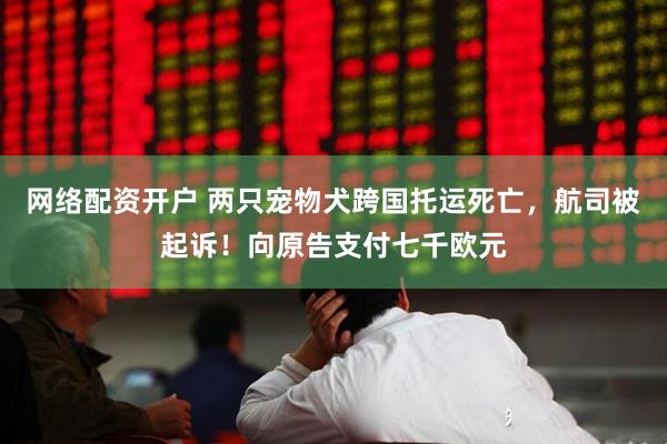 网络配资开户 两只宠物犬跨国托运死亡，航司被起诉！向原告支付七千欧元