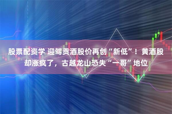 股票配资学 迎驾贡酒股价再创“新低”！黄酒股却涨疯了，古越龙山恐失“一哥”地位